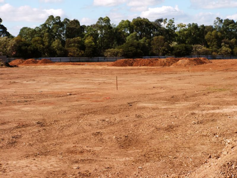 Beautiful Landscapes