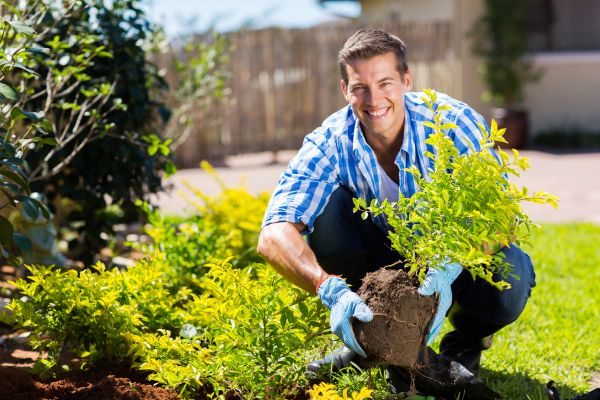 Bush Planting Service in Jackson
