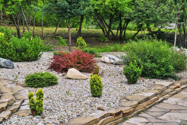 Rock Landscaping in Jackson
