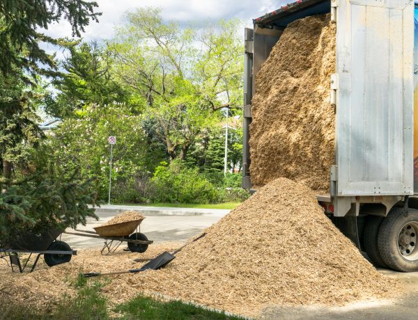Wood Chips Delivery in Jackson