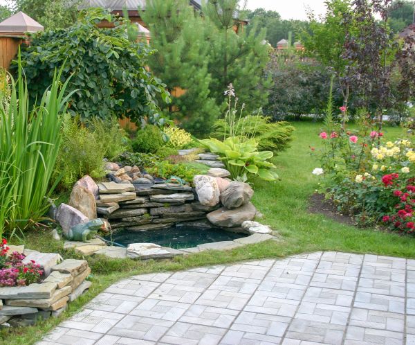 Yard Maintenance And Landscaping