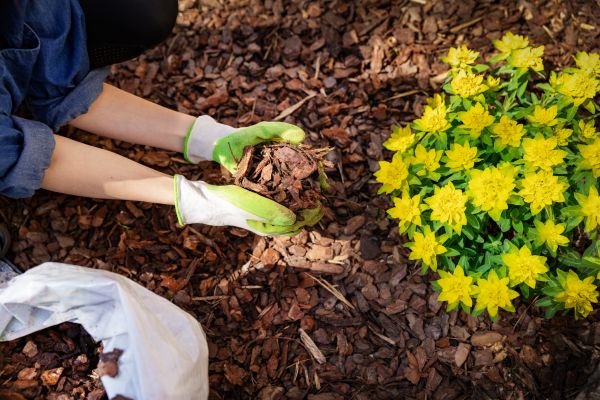 Garden Mulching in Jackson