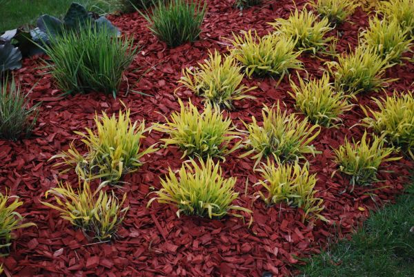 Mulch Landscaping