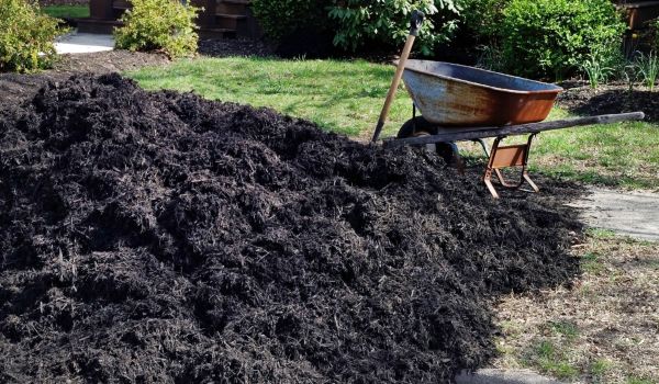 Black Mulch Installation in Jackson