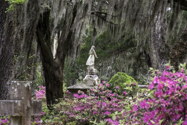 Cemetery Landscaping in Jackson