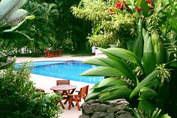 Tropical Garden Landscaping in Jackson
