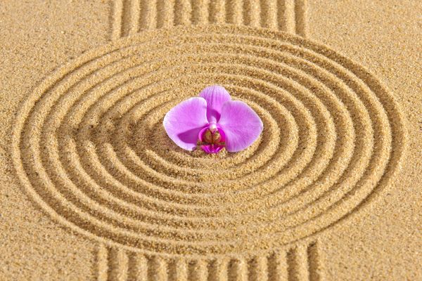 Sand Garden Landscaping in Jackson