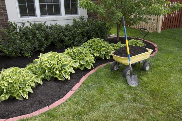 Landscape Mulching in Jackson