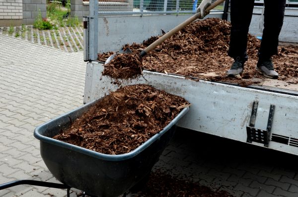Playground Mulch Delivery in Jackson
