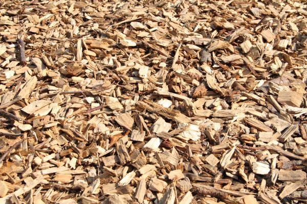 Wood Mulch Delivery in Jackson