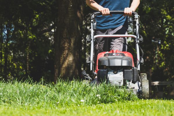 Garden Trimming Service in Jackson