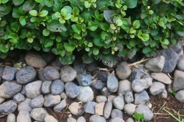 River Stone Installation in Jackson