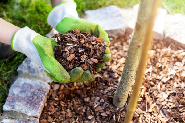 Tree Bark Delivery in Jackson