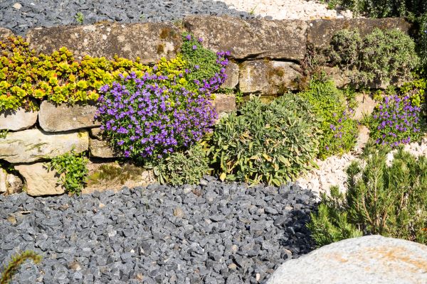 Landscaping Rocks Installation in Jackson