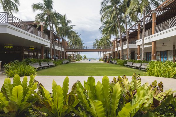 Commercial Lawn Renovation in Jackson