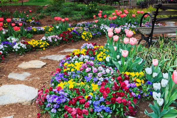 Spring Garden Design