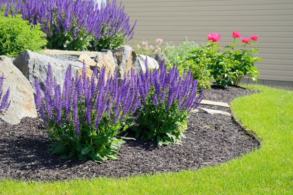 Landscape Planting Service in Jackson