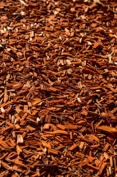 Cedar Mulch Spreading