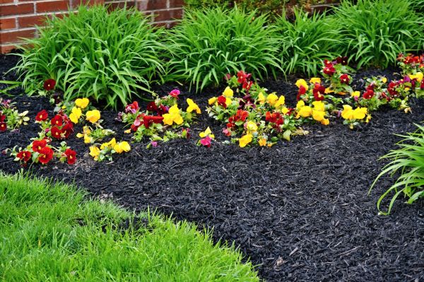 Apartment Mulching in Jackson